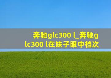 奔驰glc300 l_奔驰glc300 l在妹子眼中档次